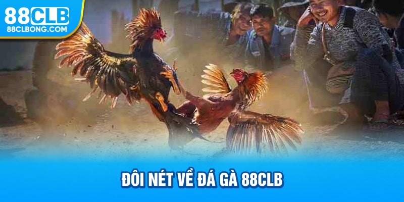 Đôi nét về đá gà 88CLB