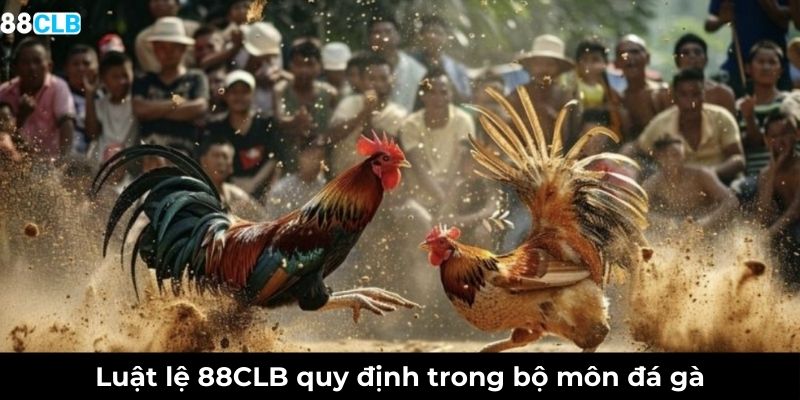 Luật lệ quy định trong bộ môn đá gà